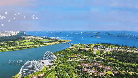 bevictor伟德官网 - 韦德官方网站