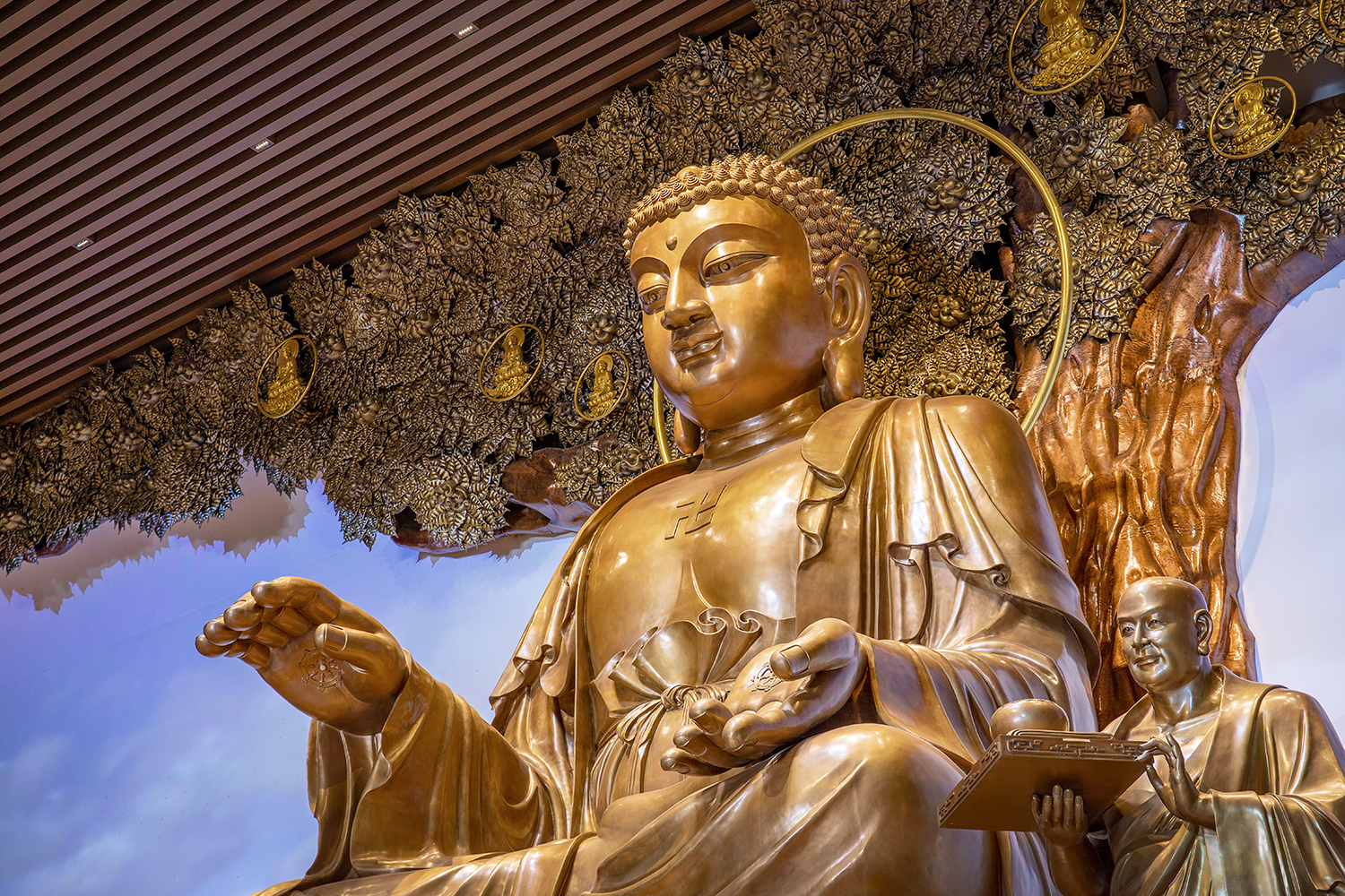 bevictor伟德官网 - 韦德官方网站