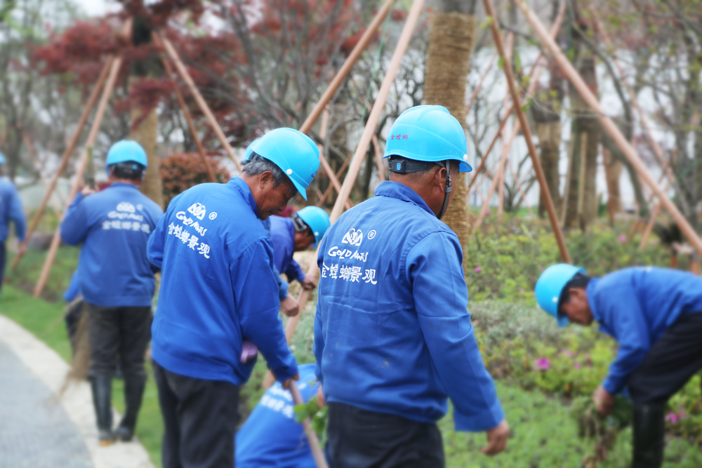 bevictor伟德官网 - 韦德官方网站