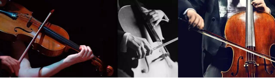 bevictorΰµÂ¹ÙÍø - ΤµÂ¹Ù·½ÍøÕ¾