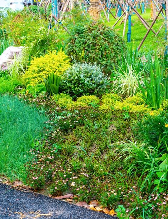 bevictorΰ�¹��� - Τ�¹ٷ���վ