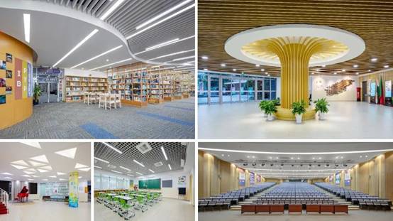 bevictor伟德官网 - 韦德官方网站