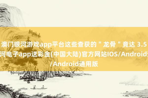 澳门银河游戏app平台这些查获的＂龙骨＂竟达 3.5 吨-银河电子app送彩金(中国大陆)官方网站IOS/Android通用版