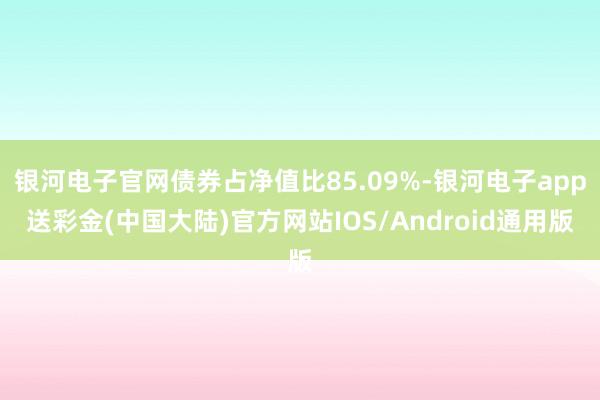 银河电子官网债券占净值比85.09%-银河电子app送彩金(