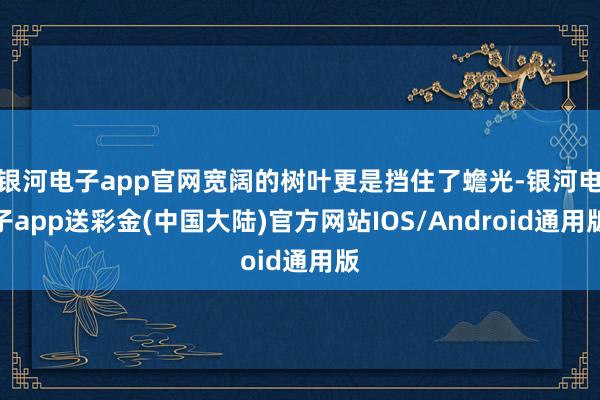 银河电子app官网宽阔的树叶更是挡住了蟾光-银河电子app送彩金(中国大陆)官方网站IOS/Android通用版