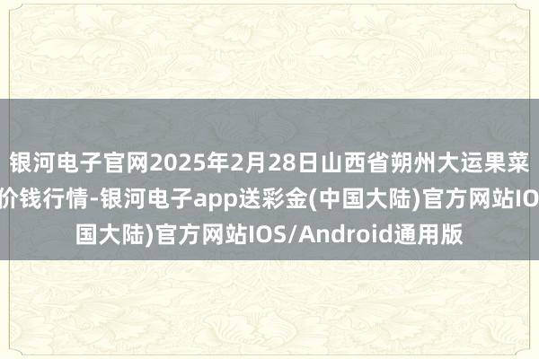 银河电子官网2025年2月28日山西省朔州大运果菜批发商场有