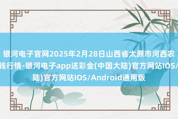 银河电子官网2025年2月28日山西省太原市河西农产物有限公