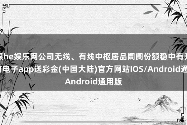 银he娱乐网公司无线、有线中枢居品阛阓份额稳中有升-银河电子